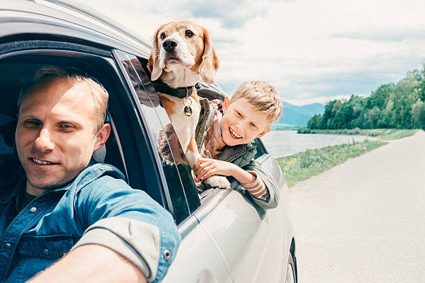 What is Universal Life Insurance? A type of permanent life insurance that offers flexibility in premium payments and death benefits.